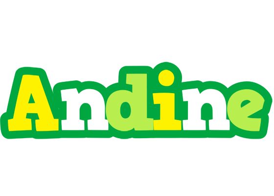 Andine soccer logo