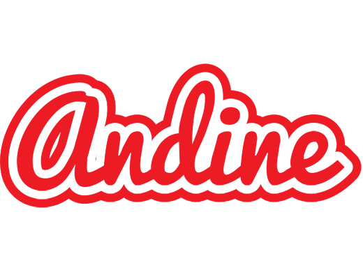 Andine sunshine logo