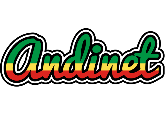 Andinet african logo