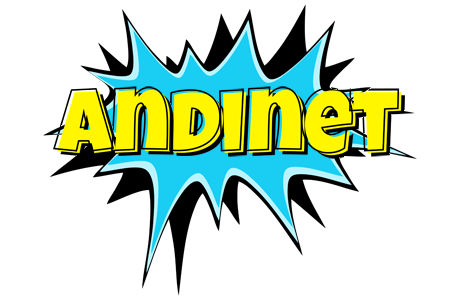 Andinet amazing logo