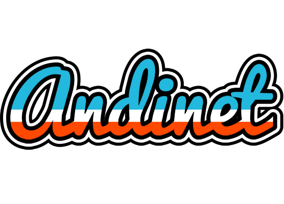 Andinet america logo