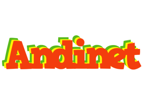 Andinet bbq logo