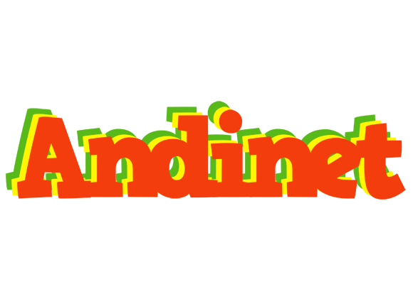 Andinet bbq logo
