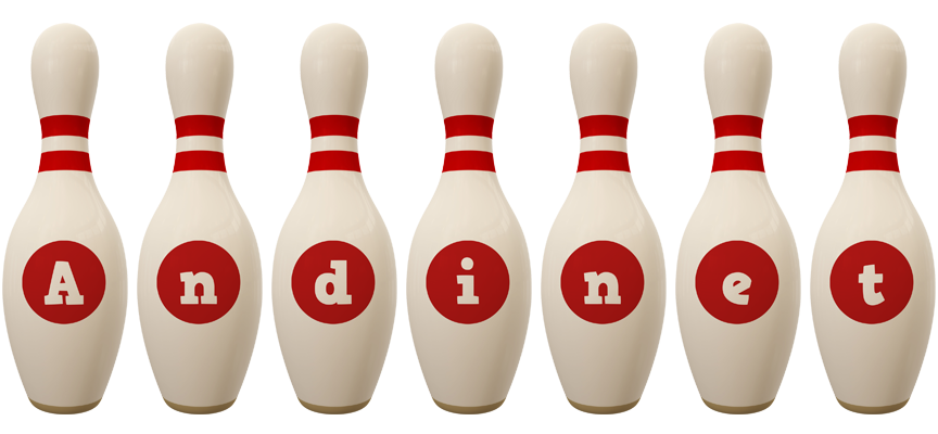 Andinet bowling-pin logo