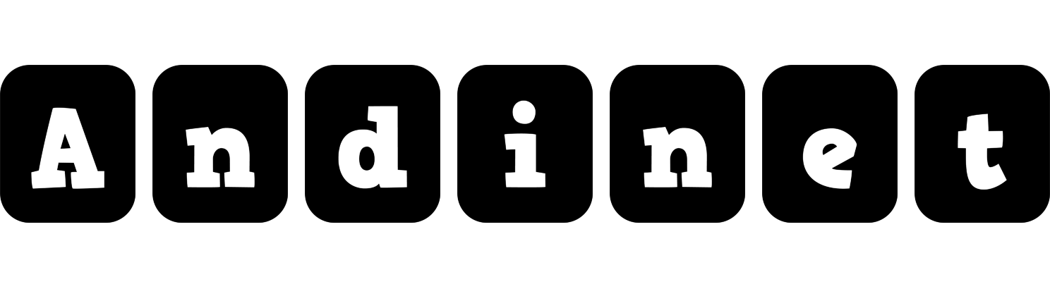 Andinet box logo