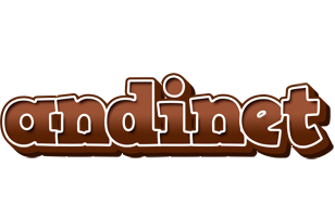 Andinet brownie logo