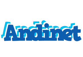 Andinet business logo