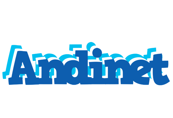 Andinet business logo