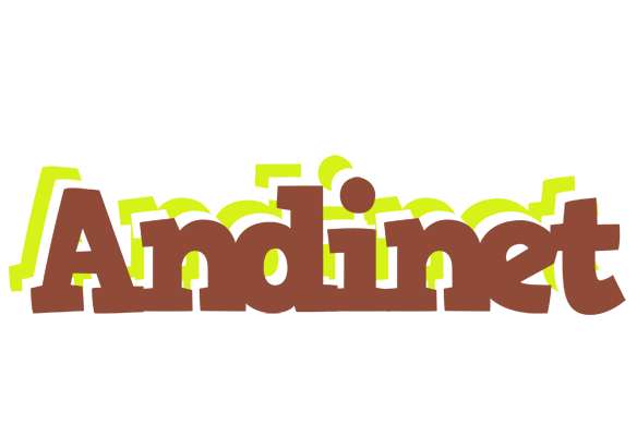Andinet caffeebar logo