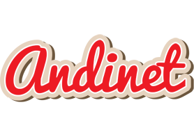 Andinet chocolate logo