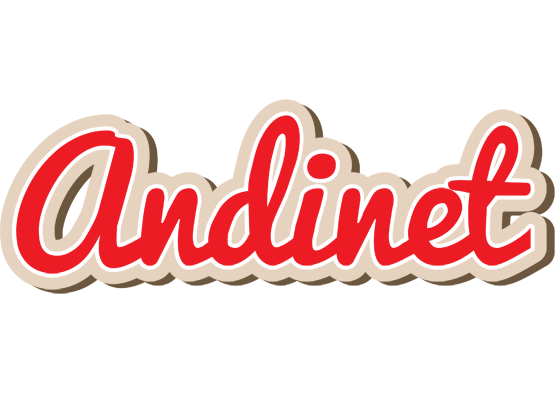 Andinet chocolate logo