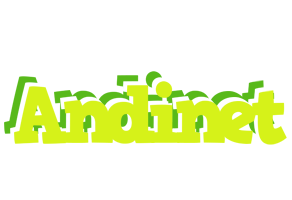 Andinet citrus logo