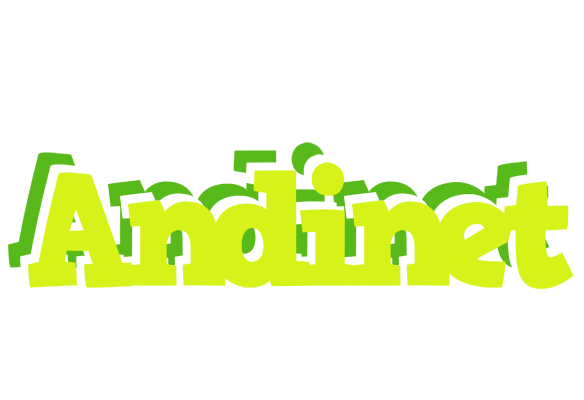 Andinet citrus logo