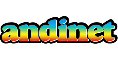 Andinet color logo