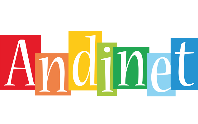 Andinet colors logo