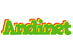 Andinet crocodile logo