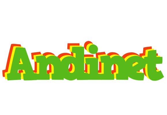 Andinet crocodile logo