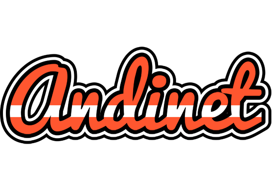 Andinet denmark logo