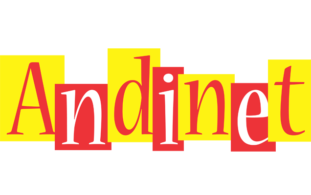 Andinet errors logo