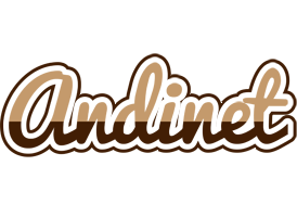 Andinet exclusive logo