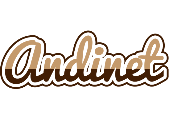 Andinet exclusive logo