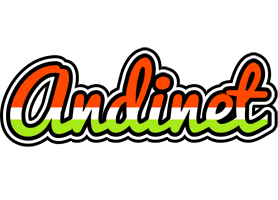 Andinet exotic logo