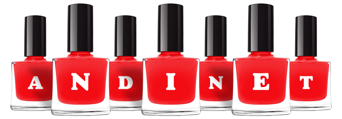 Andinet fashion logo