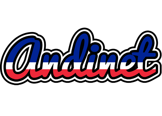 Andinet france logo