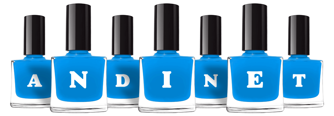 Andinet glossy logo