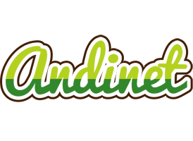 Andinet golfing logo