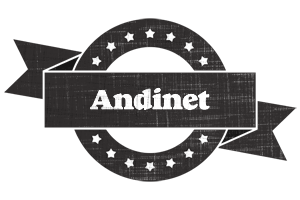 Andinet grunge logo