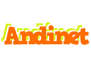 Andinet healthy logo