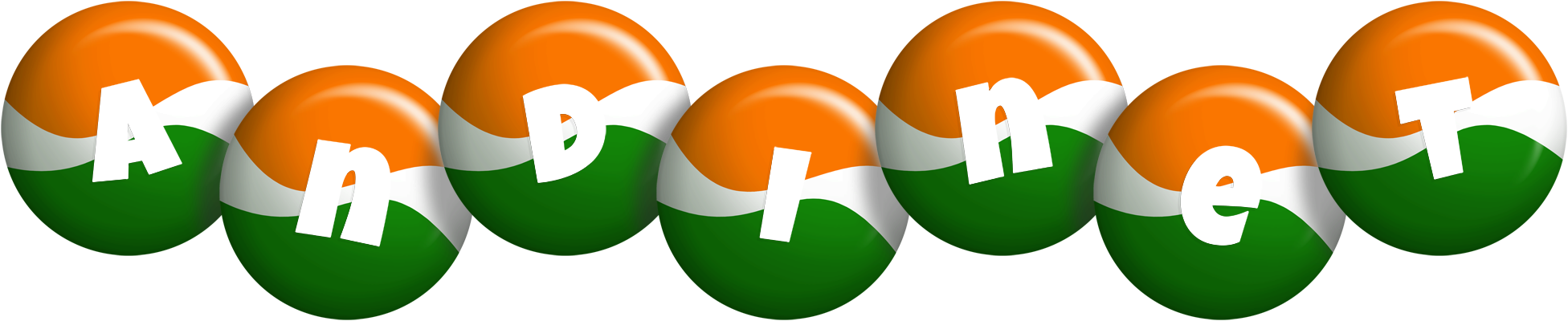 Andinet india logo