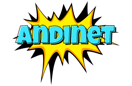 Andinet indycar logo