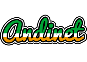 Andinet ireland logo