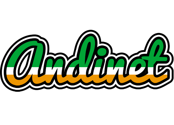 Andinet ireland logo
