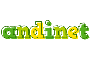 Andinet juice logo