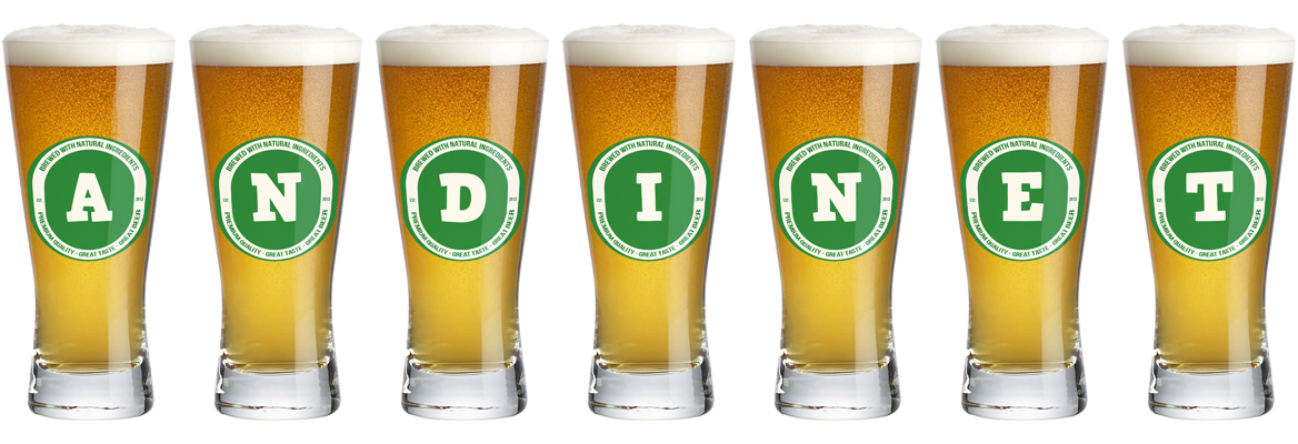 Andinet lager logo