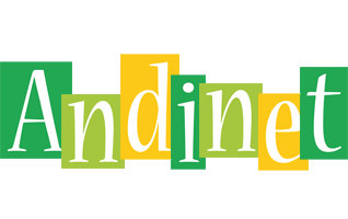 Andinet lemonade logo