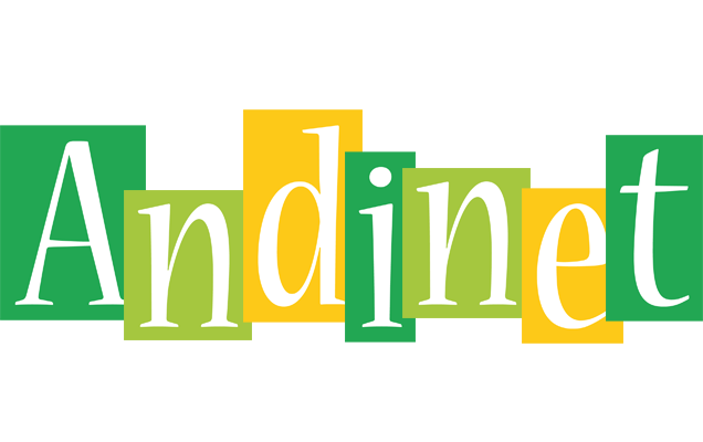 Andinet lemonade logo