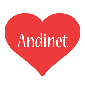 Andinet love logo