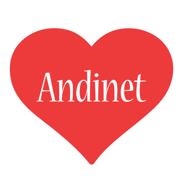 Andinet love logo