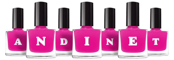 Andinet nails logo