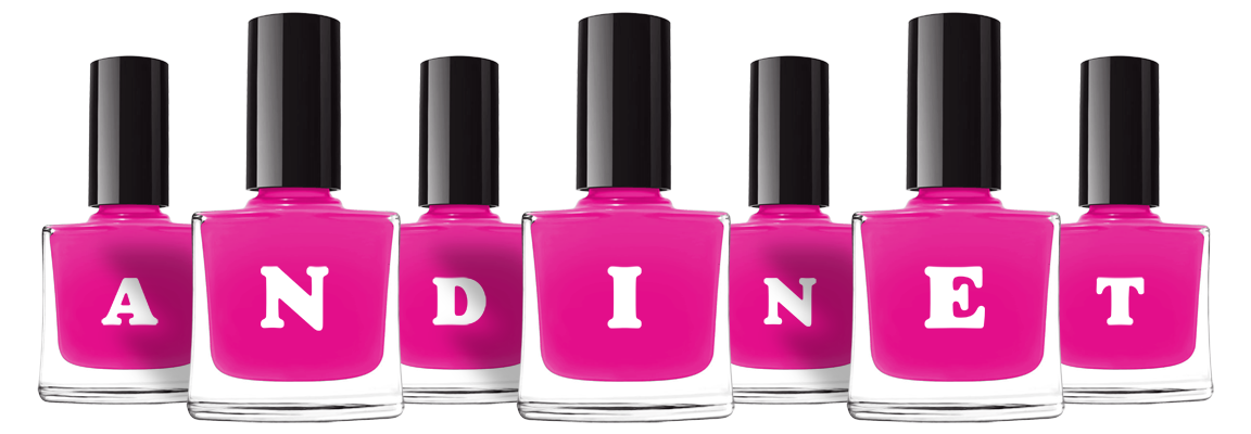 Andinet nails logo