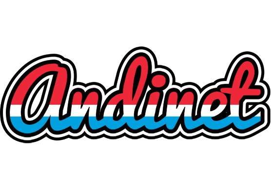 Andinet norway logo