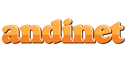 Andinet orange logo