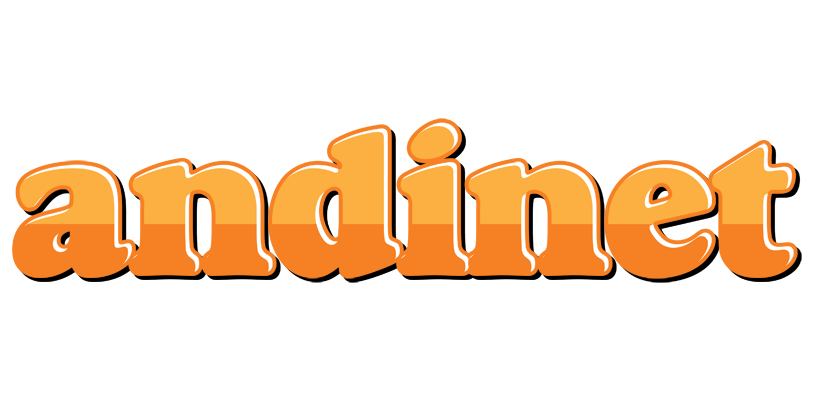 Andinet orange logo