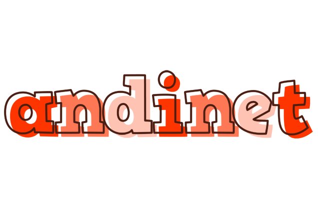 Andinet paint logo