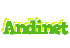 Andinet picnic logo