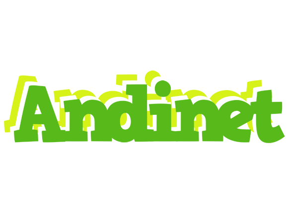Andinet picnic logo
